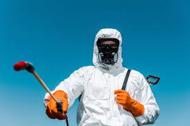 Best Residential Pest Control  in Canutillo, TX